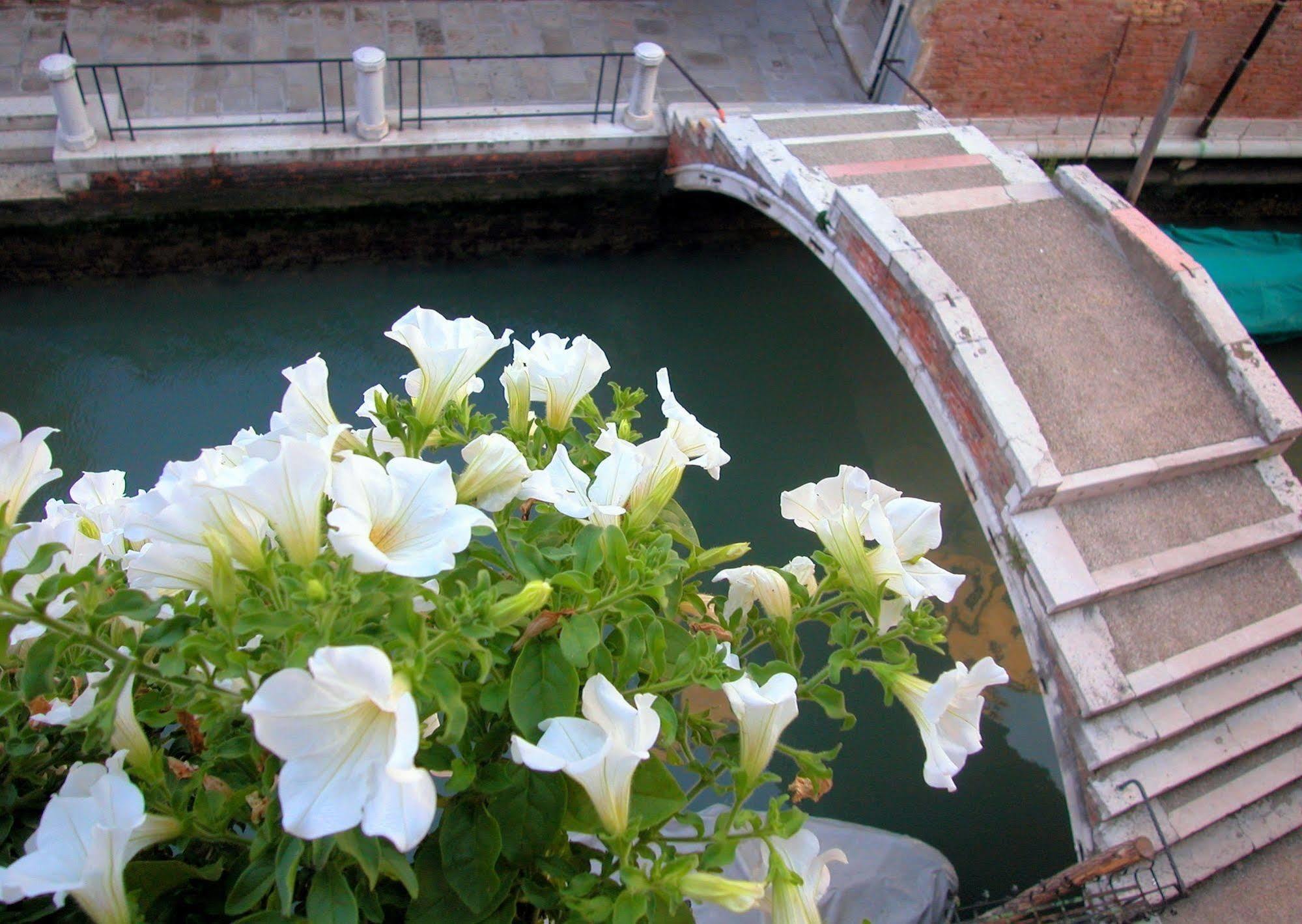 3749 Pontechiodo Bed & Breakfast Венеция Екстериор снимка
